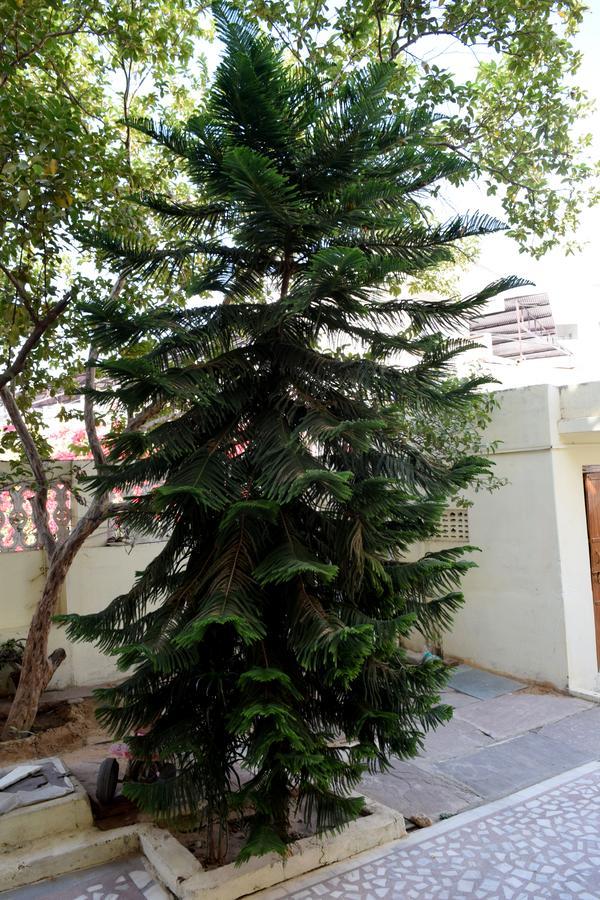 Hotel Kamal Villas Pushkar Bagian luar foto